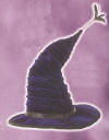 Madame Hooch Hat