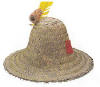 Straw Hillbilly Hat