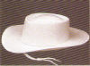 Cowboy Hats from Hats USA